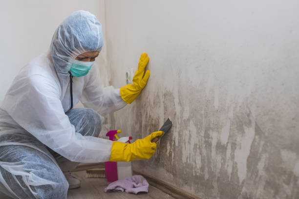 Water Damage Restoration in Plain City, OH