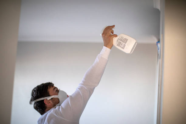 Reliable Plain City, OH Mold Removal Solutions